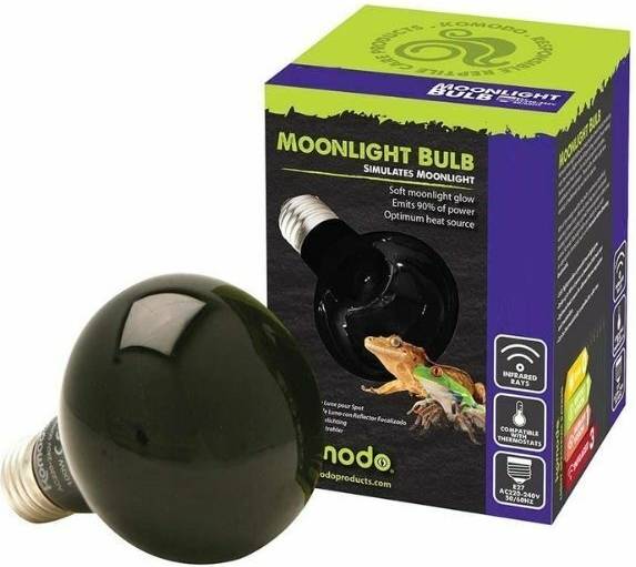 Komodo Nachtgloed Lamp Es 50 WATT