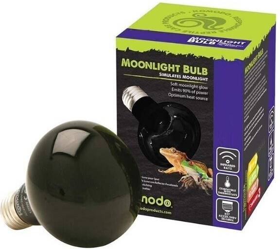 Komodo Nachtgloed Lamp Es 75 WATT