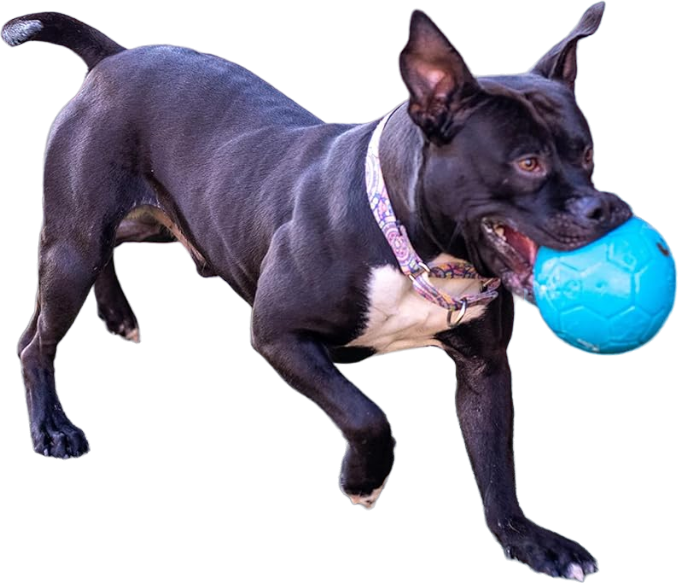 Jolly Soccer Ball Blauw 20 CM