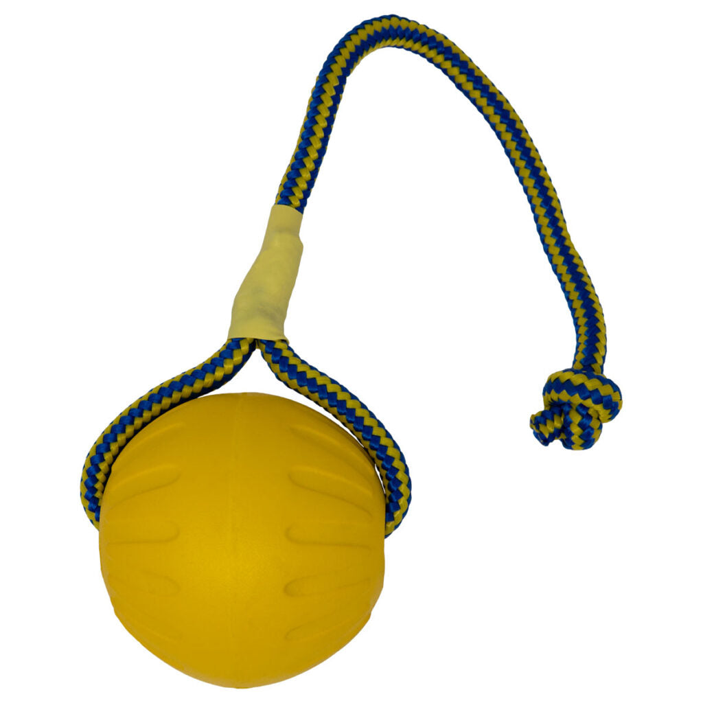 Starmark Swing 'N Fling Durafoam Fetch Bal Aan Koord LARGE 9 CM