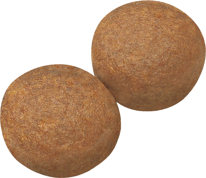 Royal Canin Medium Puppy 4 KG