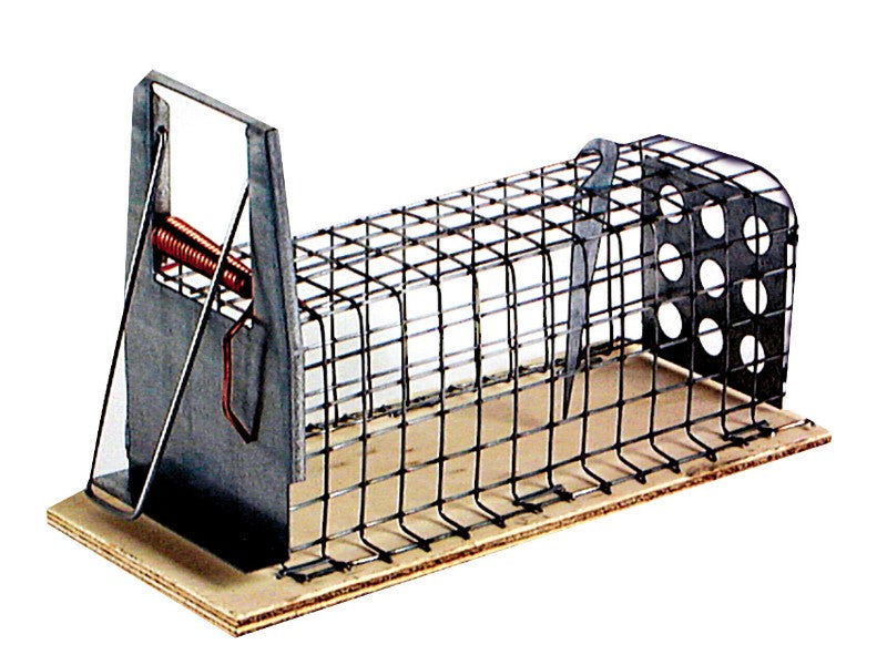 Luna Houten Muizenval Recht 1-Kleps 16 CM