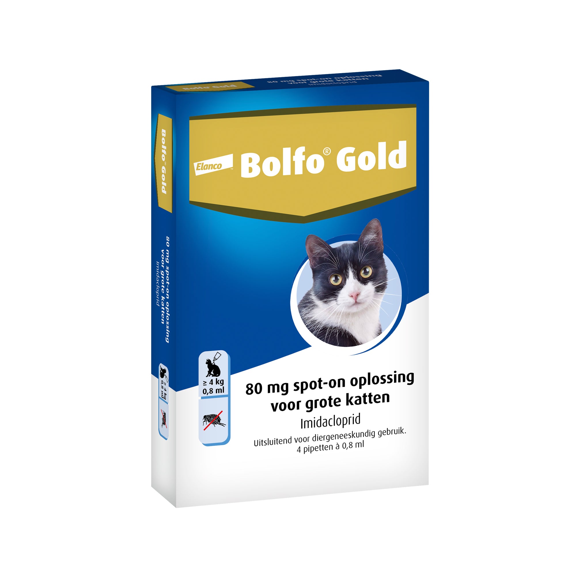 Bolfo Gold Kat Vlooiendruppels 80 4 PIPET