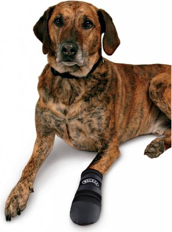 Trixie Walker Care Beschermschoenen Zwart 2 Stuks M 15X8 CM