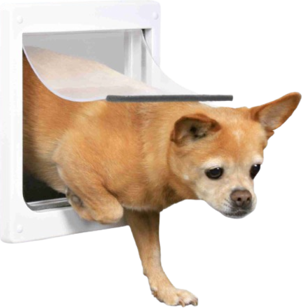 Trixie 2-Weg Hondenluik Wit XS-S 25 X 29 CM