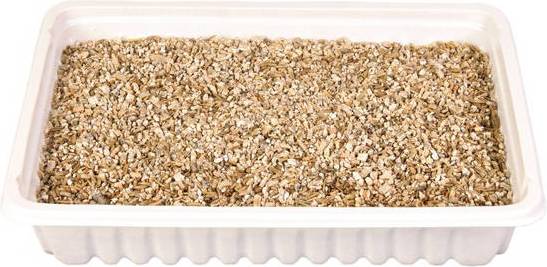 Trixie Kattengras Bak 100 GR