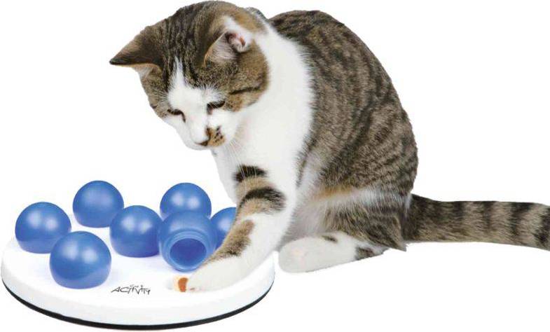 Trixie Cat Activity Solitaire