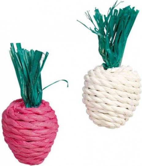 Trixie Radijs en Rettich Met Stro 8 CM 2 ST