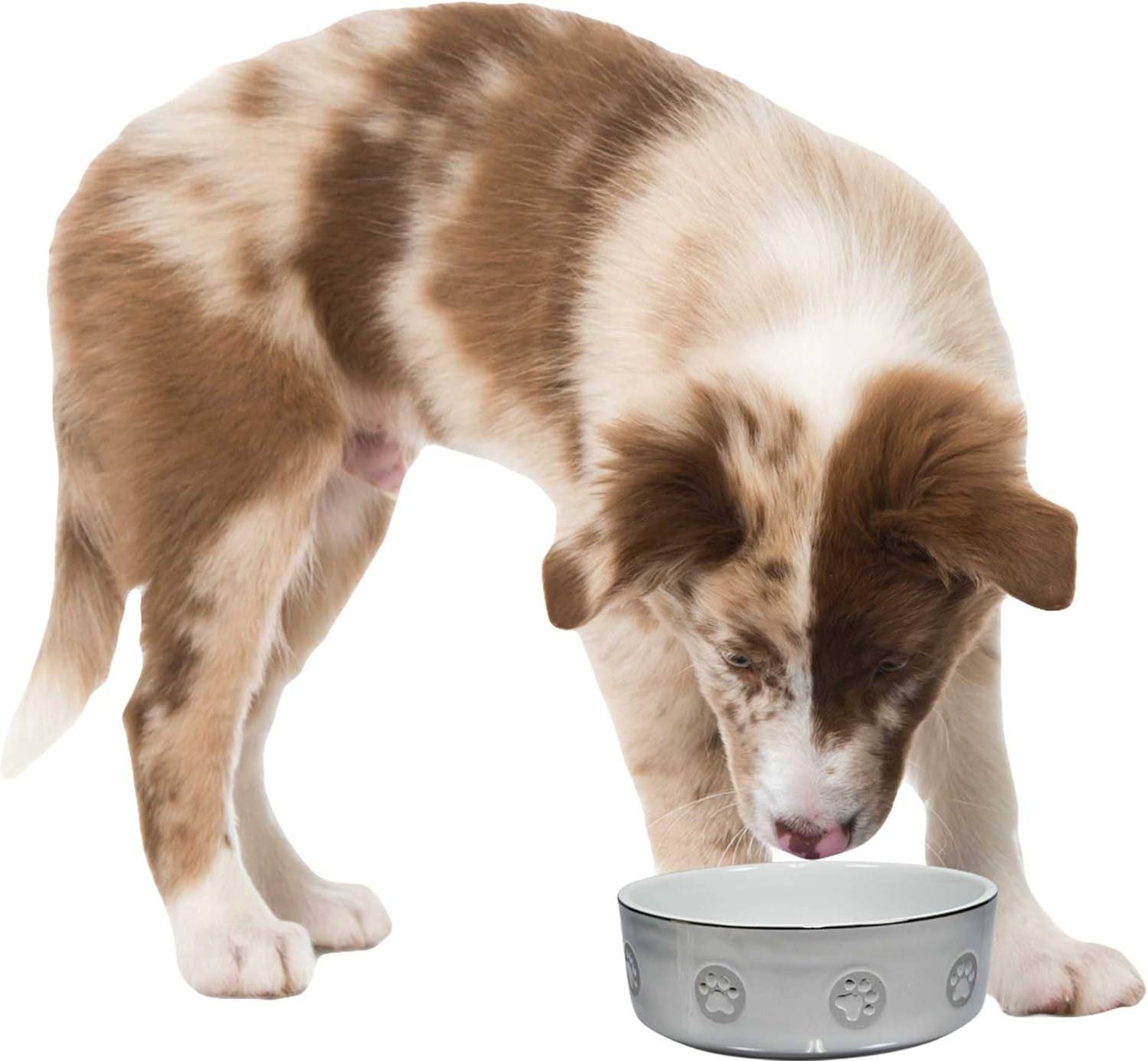 Trixie Voerbak Keramiek Poot Zilver / Wit 800 ML 15 CM 4 ST