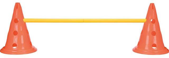 Trixie Dog Activity Hordenset 2 ST