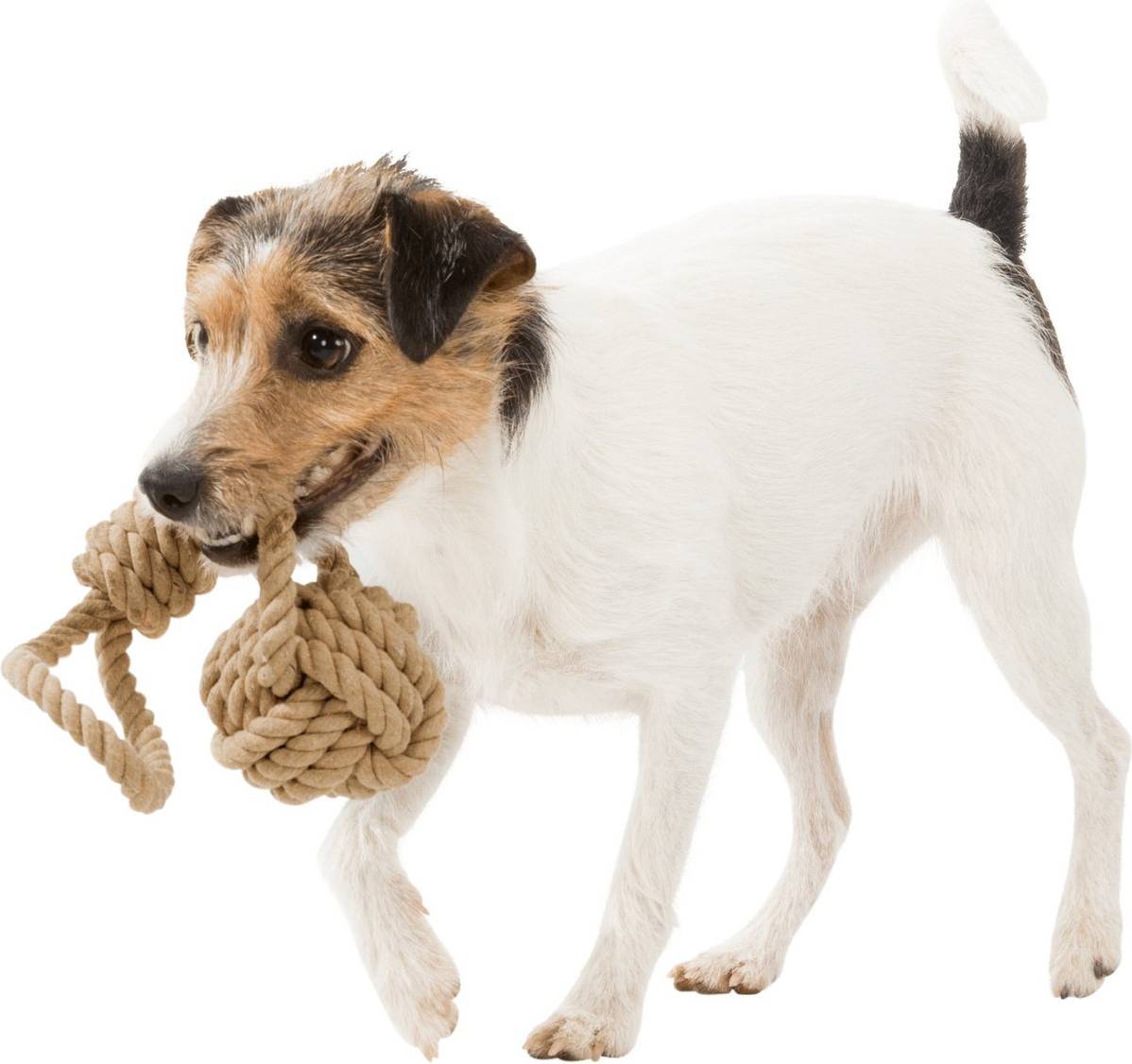 Trixie Be Nordic Flostouw Met Touwbal 20X7X7 CM 3 ST