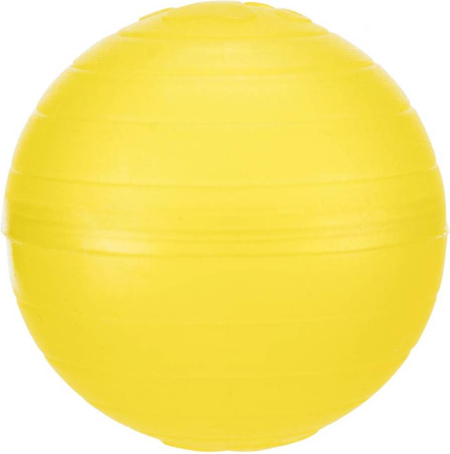 Trixie Race en Scratch Speelbaan Kunststof 37 CM