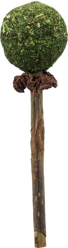 Trixie Matatabi Lolly Met Catnip 11 CM 4 ST