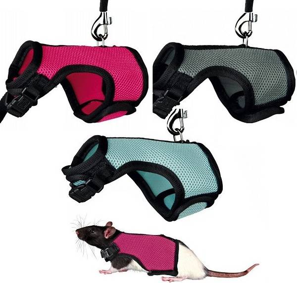 Trixie Softtuig Met Riem Voor Ratten Assorti 12-18X120 CM