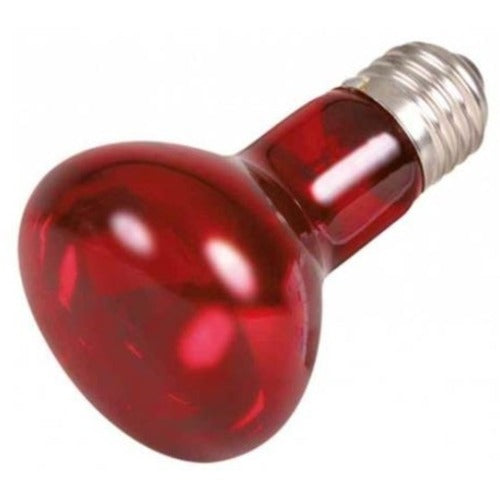 Trixie Reptiland Warmtelamp Infrarood 50 WATT 6.3X6.3X10 CM 3 ST