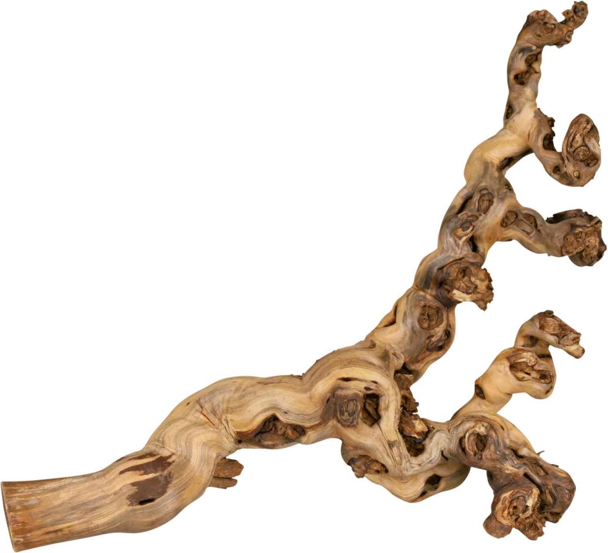 Trixie Druiventakken 55-80 CM 6 ST