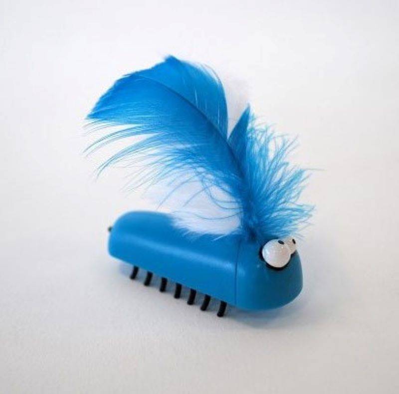 Coockoo Bug Me! Assorti