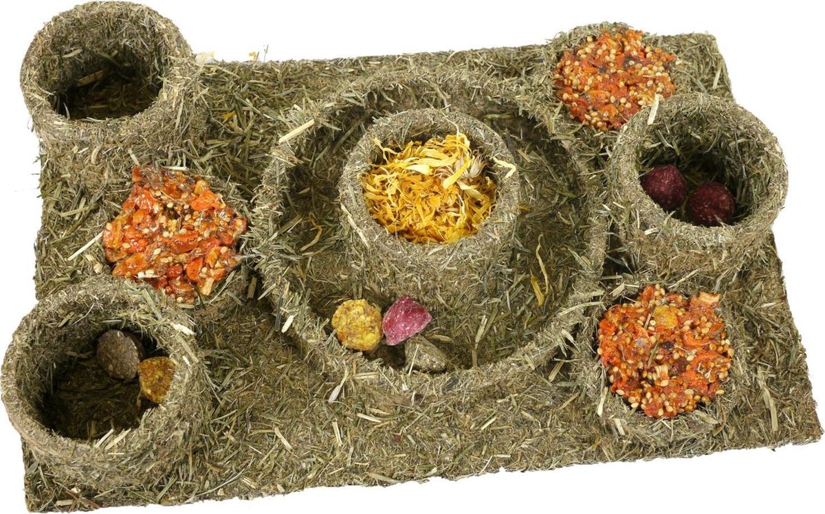 Rosewood Naturals Hide N Treat Maze 28X18 CM