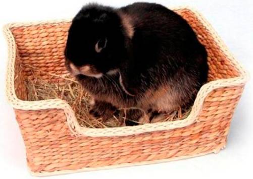 Rosewood Chill 'N' Snooze Knaagdierbed 33X26 CM