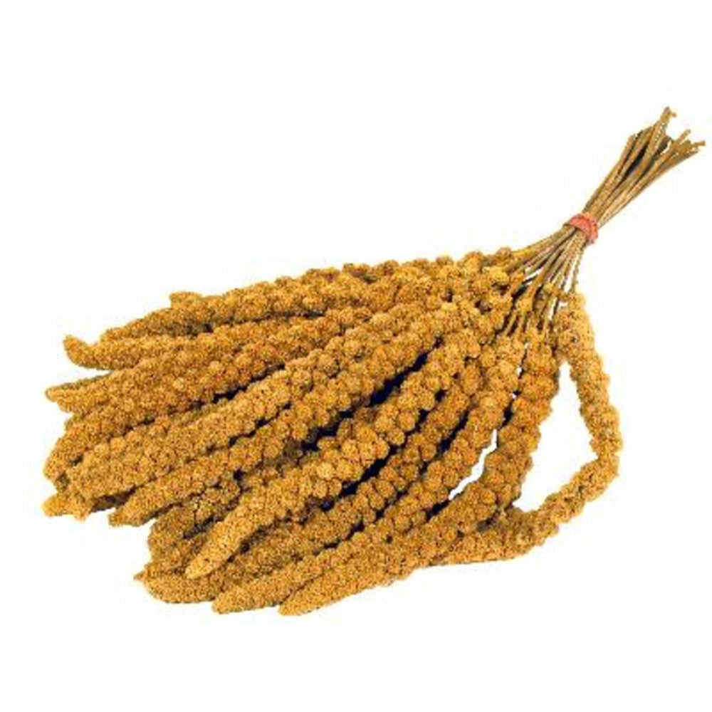 Prestige Trosgierst 300 GR