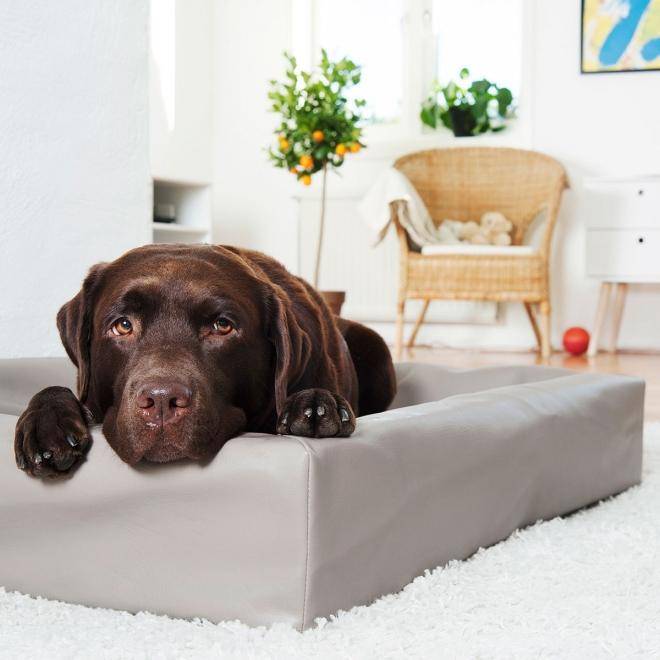 Bia Bed Hondenmand Original Taupe BIA-6 100X80X15 CM