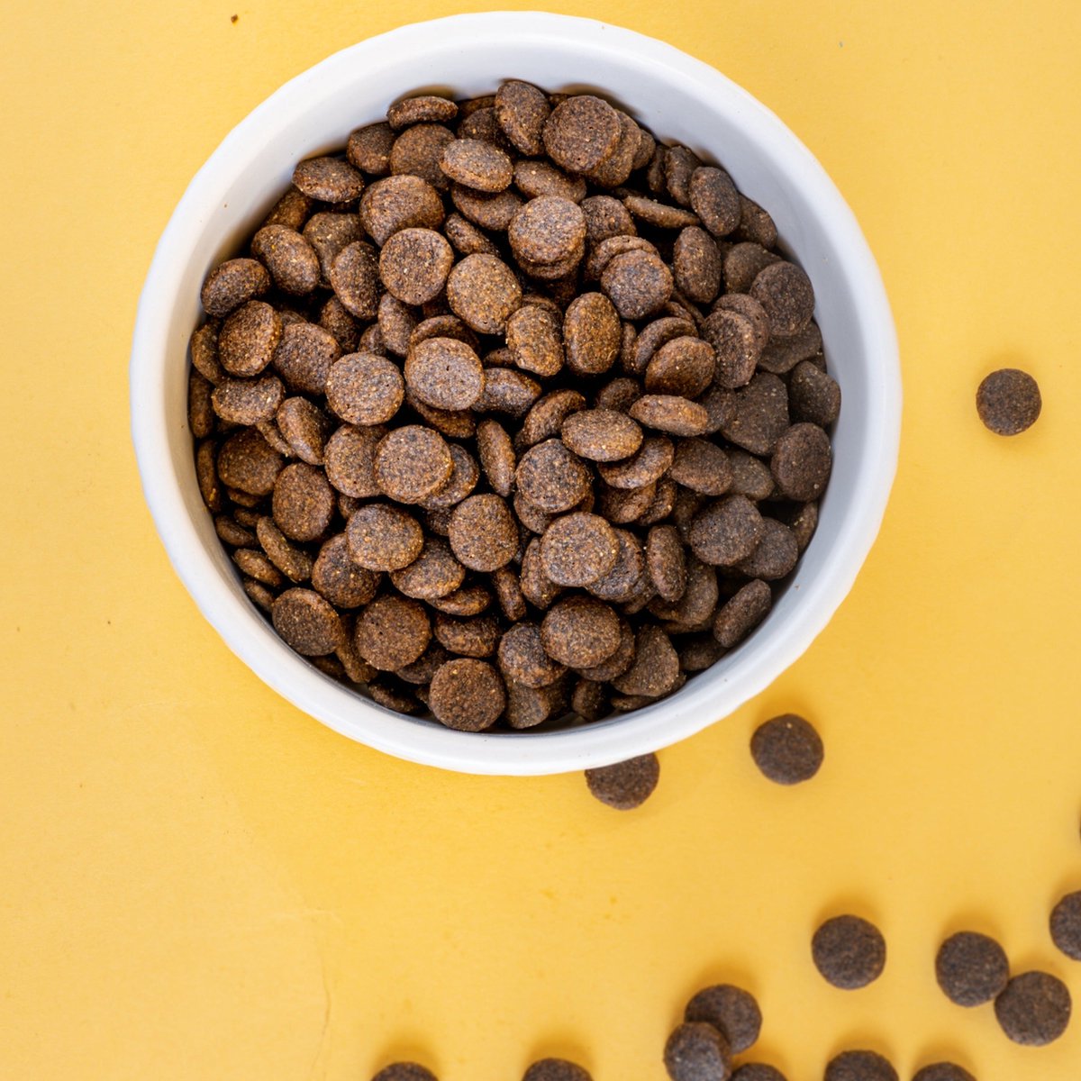 Natural Greatness Salmon Sensitive Medium 2 KG