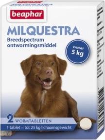 Beaphar Milquestra Hond 2 TBL