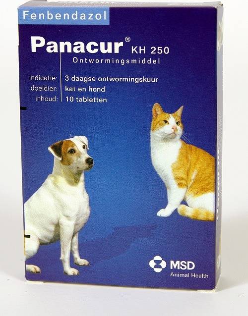 Panacur Hond / Kat 250 MG 10 TABLET