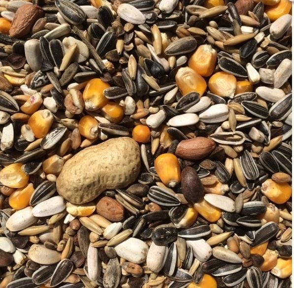 Wierikx Papegaaienvoer Extra 15 KG