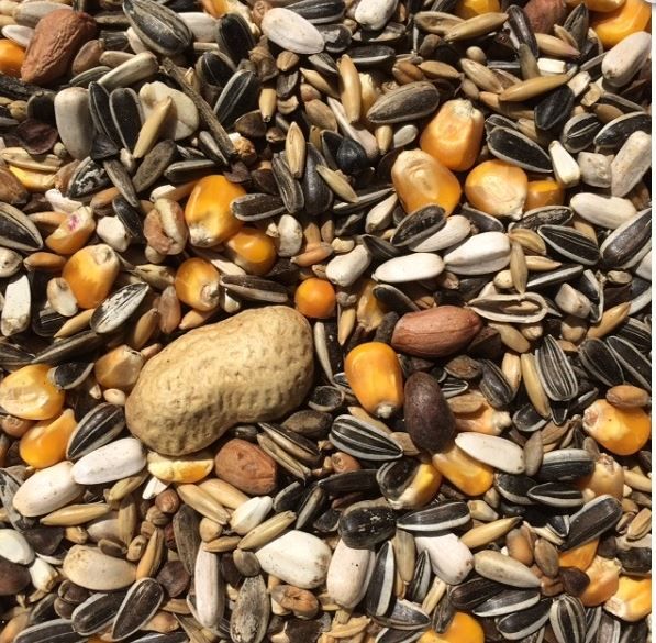 Wierikx Papegaaienvoer Extra 15 KG