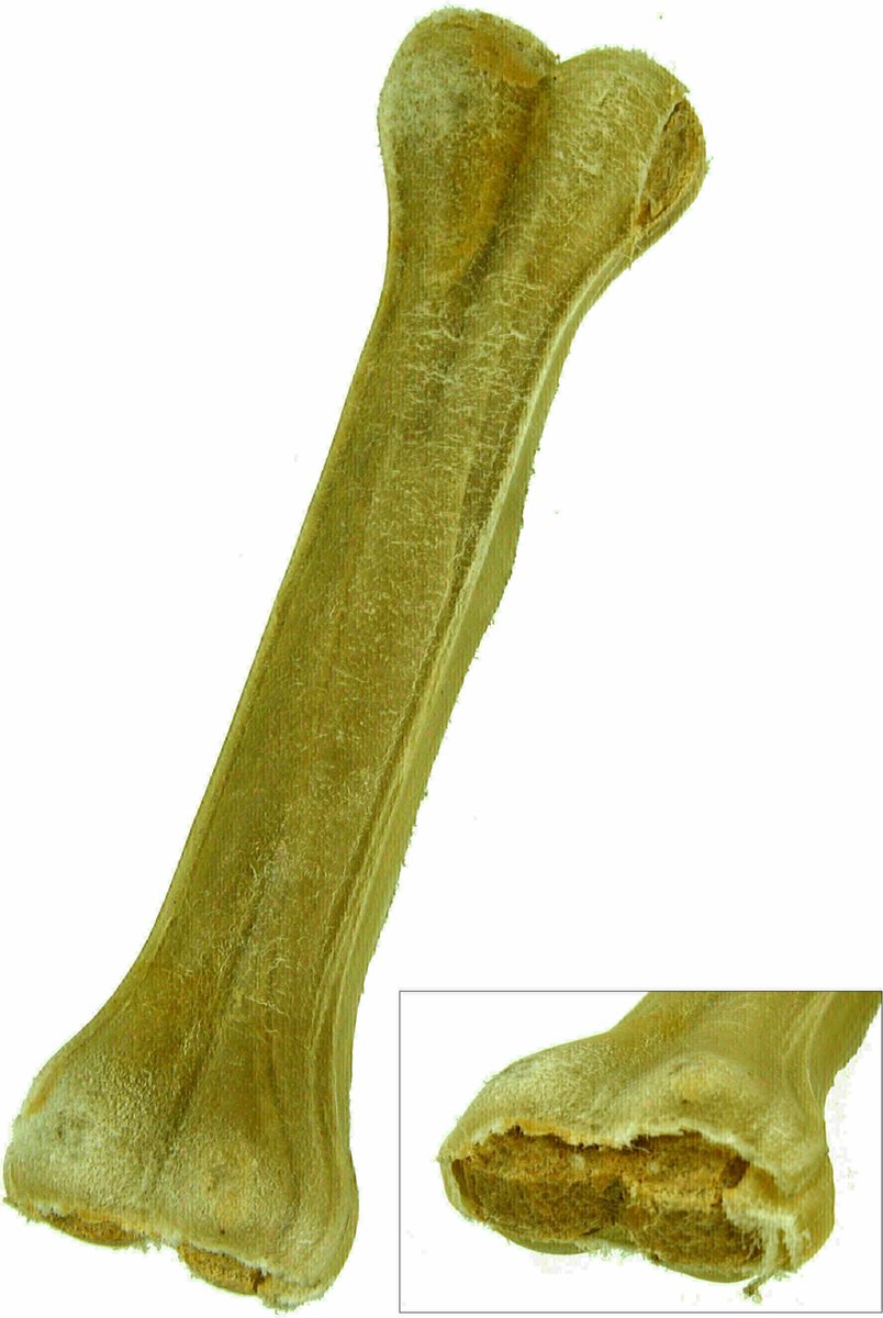 Petsnack Geperst Bot Gevuld Met Zalm 8 INCH 20 CM 5 ST