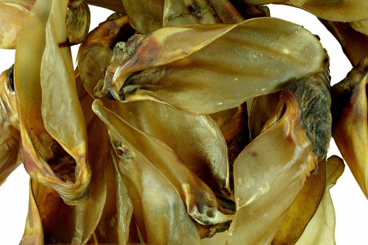 Petsnack Buffalo Oren Large Met Vlees 25 ST