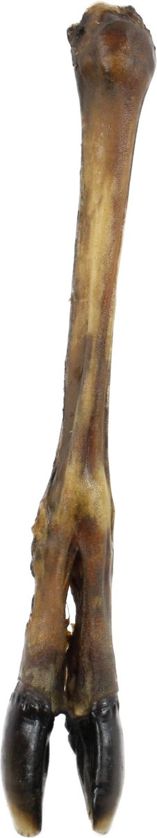 Petsnack Hertenpoot 1 ST