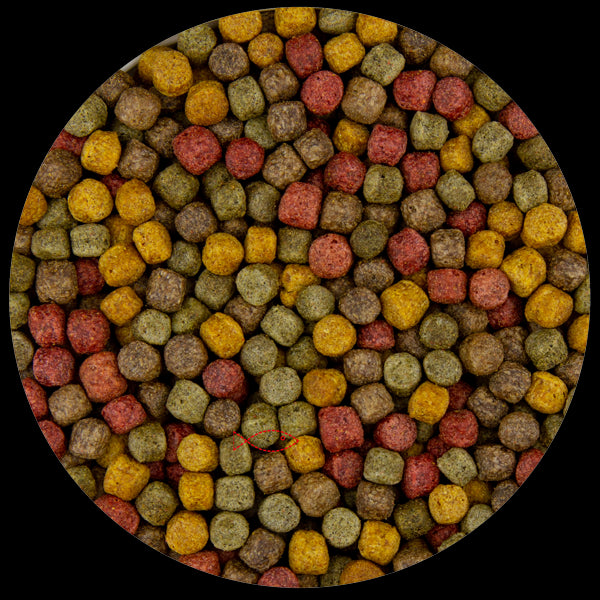 Utopia Diertotaal Vijverkorrel Drijvend 6 MM 2 KG