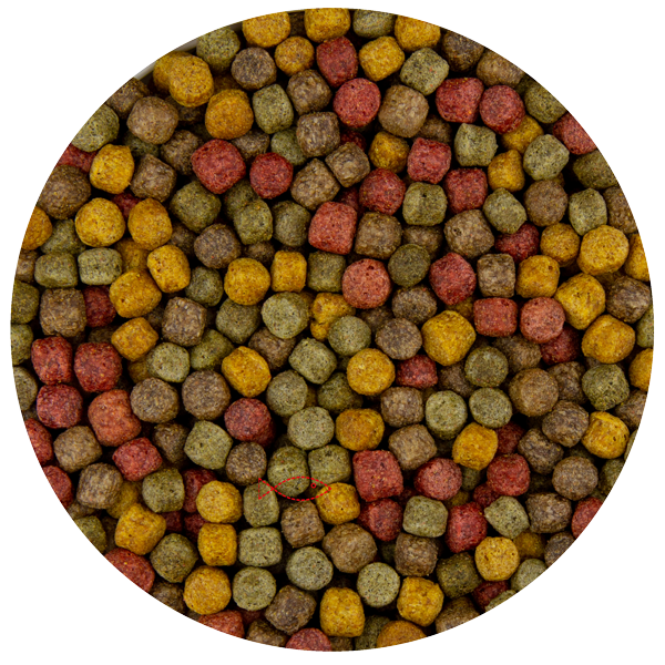 Utopia Diertotaal Vijverkorrel Drijvend 6 MM 2 KG