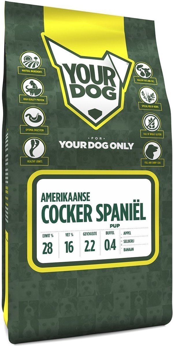 Yourdog Amerikaanse Cocker Spaniėl Pup 3 KG