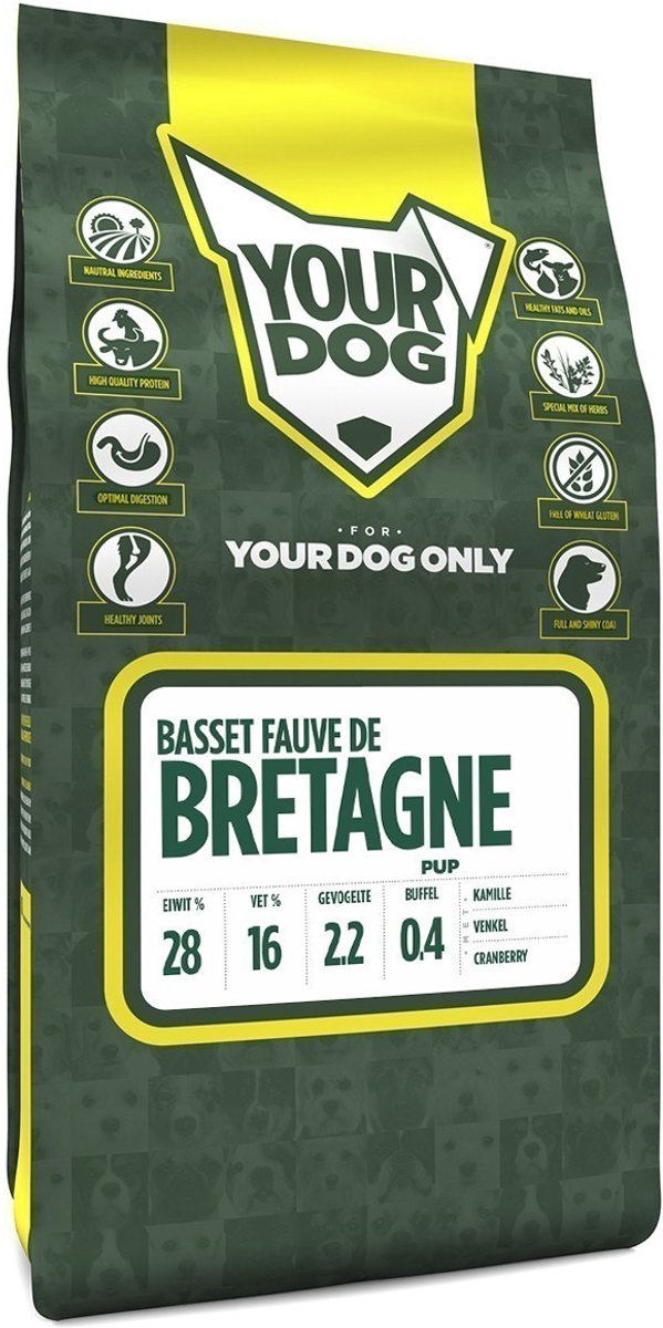 Yourdog Basset Fauve De Bretagne Pup 3 KG