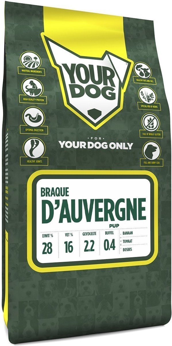 Yourdog Braque D'auvergne Pup 3 KG