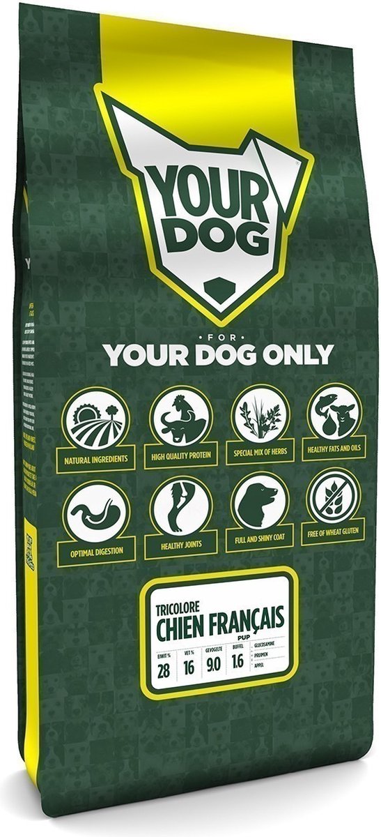 Yourdog Chien Franēais Tricolore Pup 12 KG