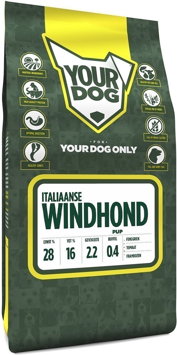 Yourdog Italiaanse Windhond Pup 3 KG